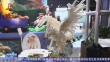 “九珍十八品”烹饪技能大赛举行